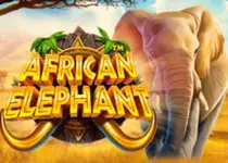 Play African Elephant Online Slot